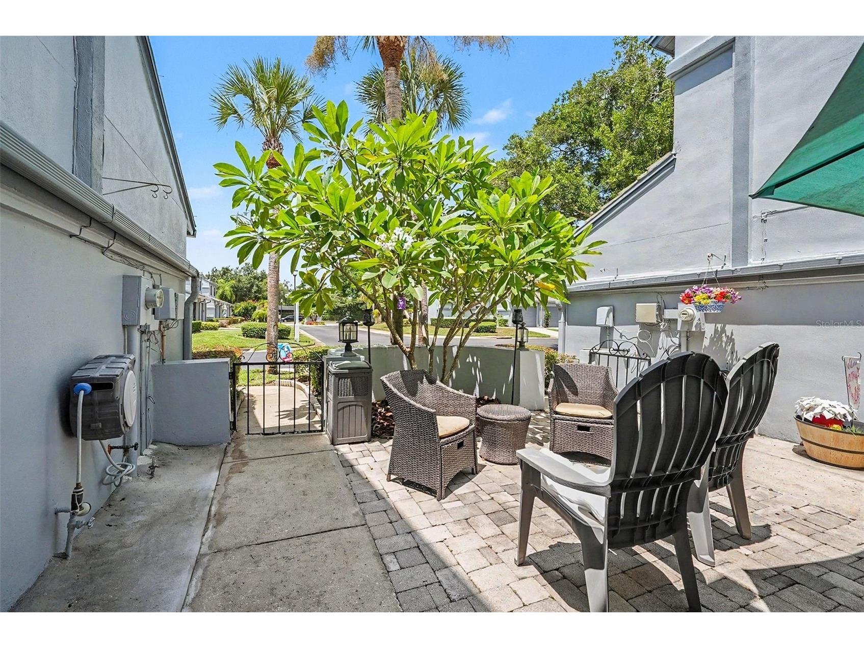 4107 Brentwood Park Circle Tampa FL 33624 TB8525686 image4
