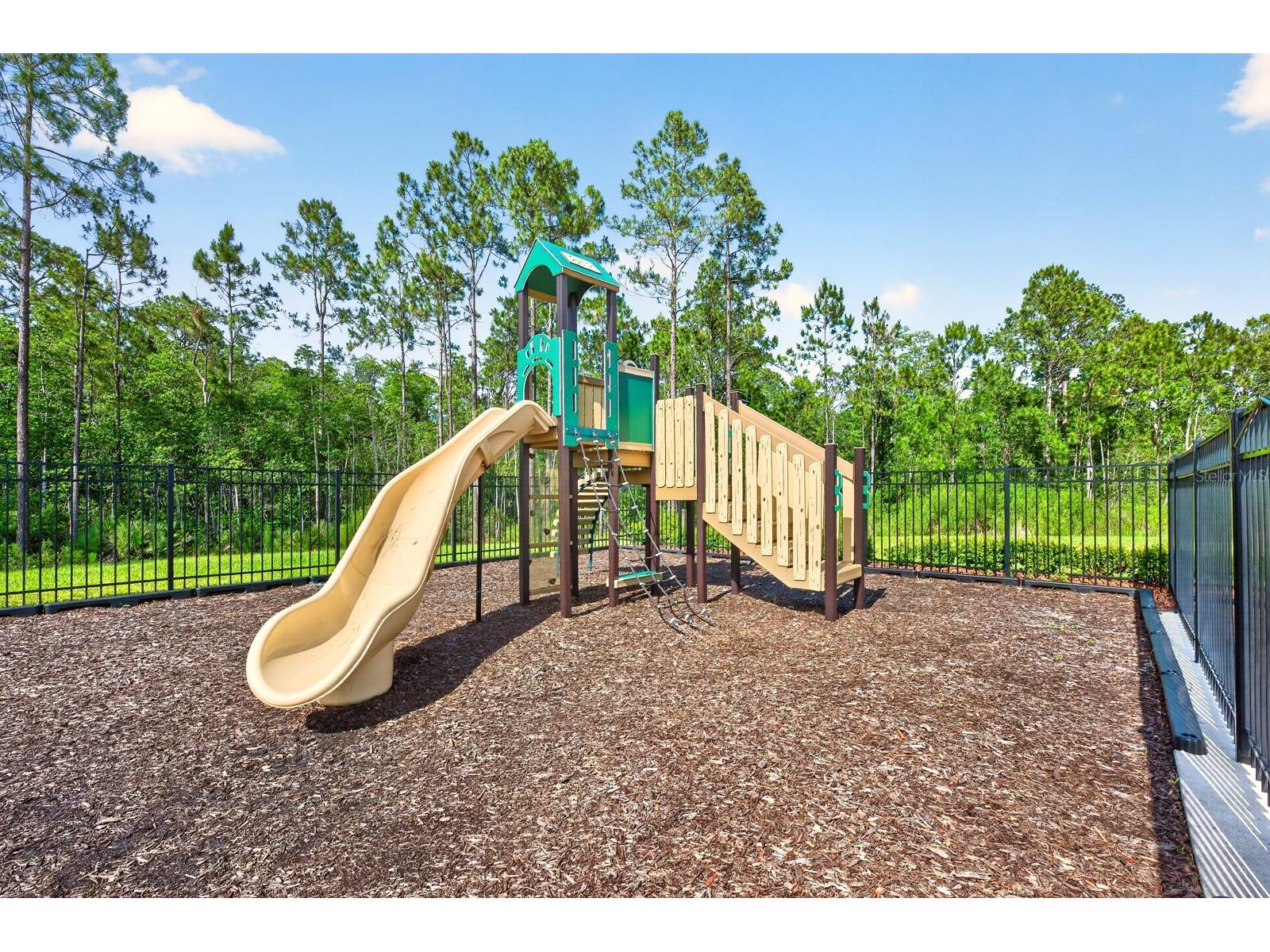 4107 Calusa Pine Road Daytona Beach FL 32124 O6411554 image28