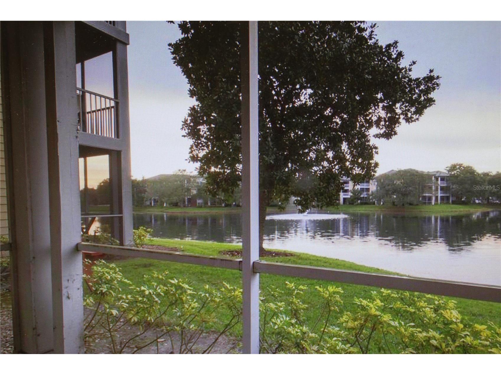 4107 Chatham Oak Court #307 Tampa FL 33624 TB8482848 image9