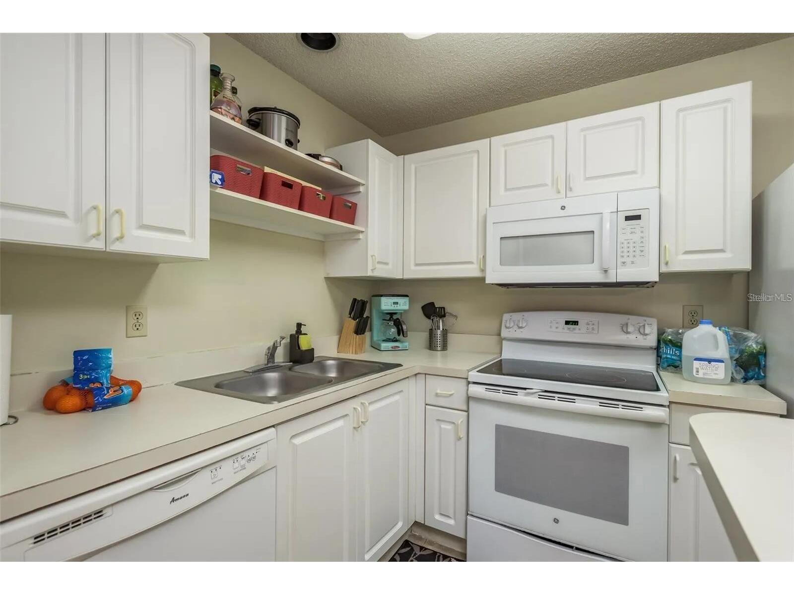 4107 Chatham Oak Court #313 Tampa FL 33624 O6403046 image10