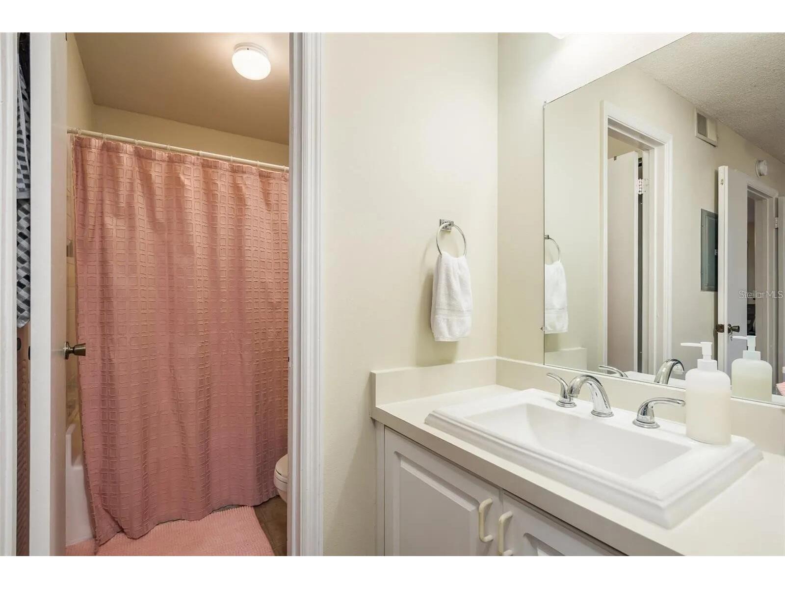 4107 Chatham Oak Court #313 Tampa FL 33624 O6403046 image11