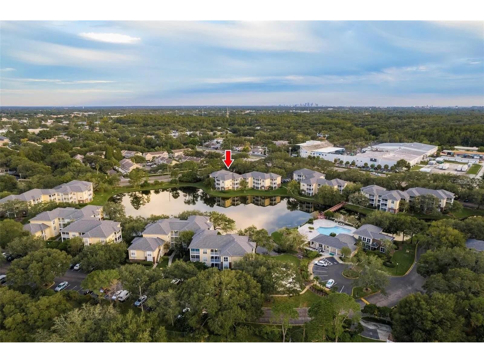4107 Chatham Oak Court #313 Tampa FL 33624 O6403046 image14