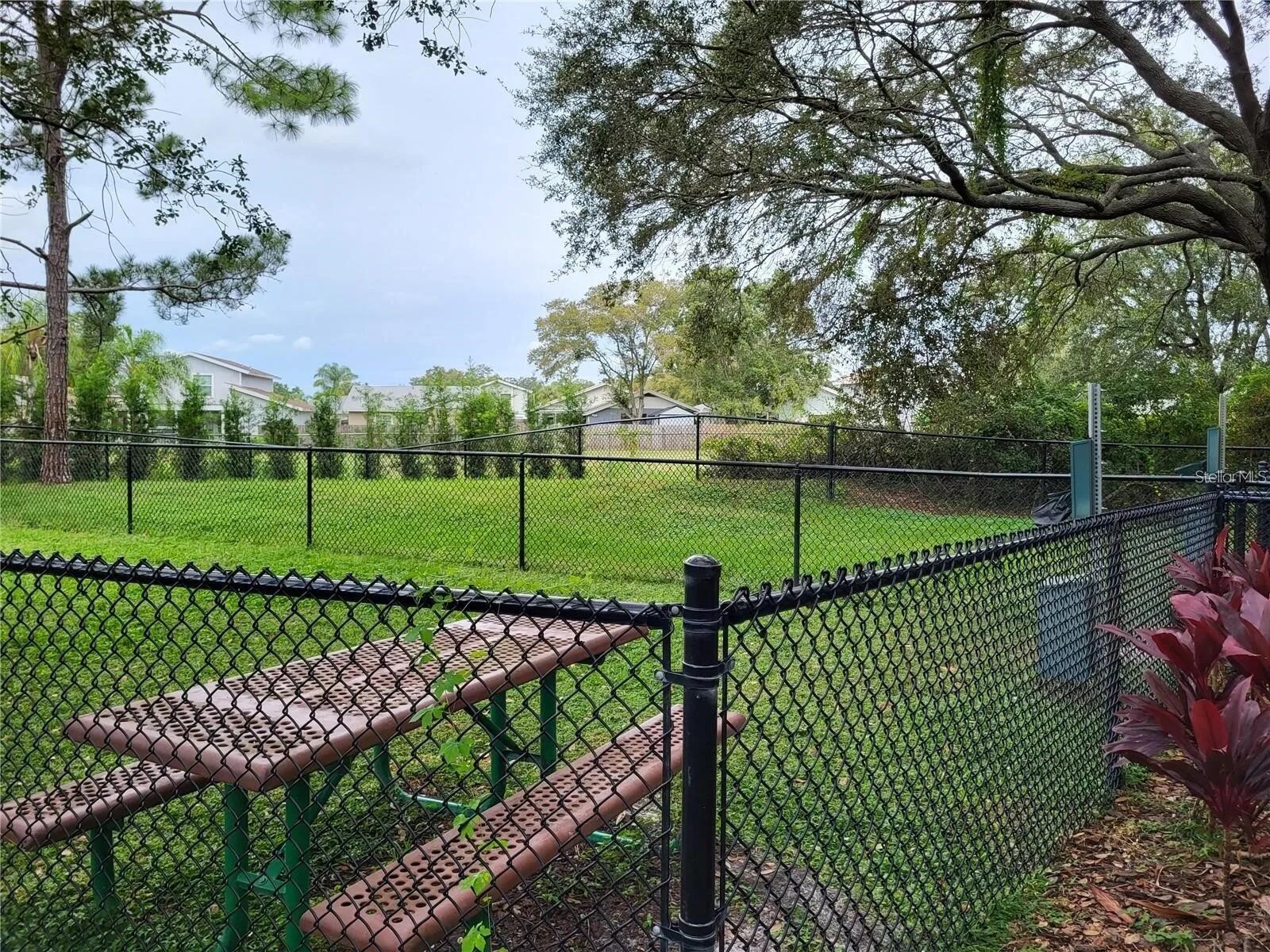 4107 Chatham Oak Court #313 Tampa FL 33624 O6403046 image21