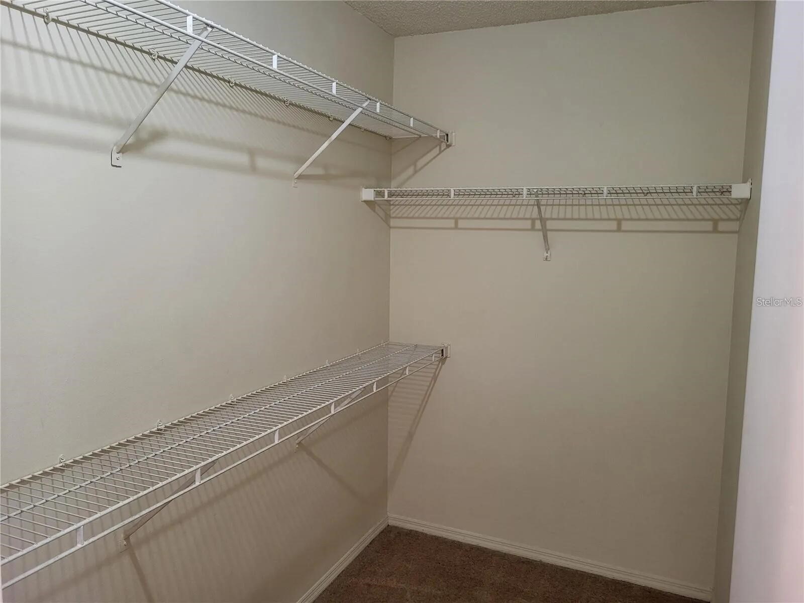 4107 Chatham Oak Court #313 Tampa FL 33624 O6403046 image28