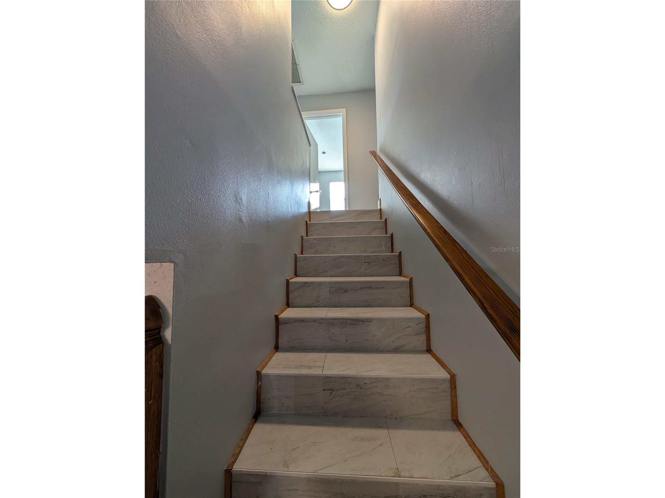 4107 Hudson Way Tampa FL 33618 TB8518369 image36