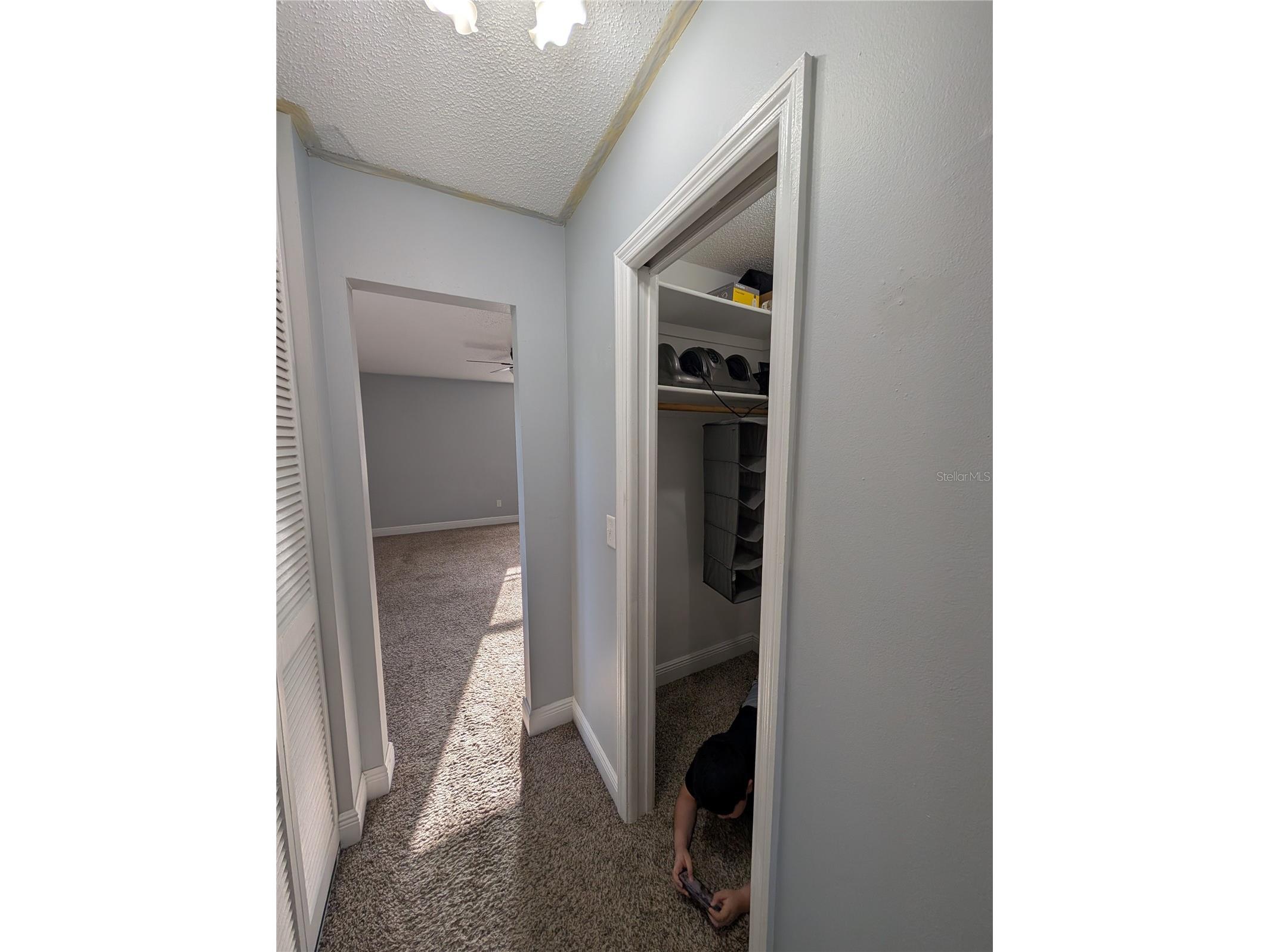 4107 Hudson Way Tampa FL 33618 TB8518369 image47