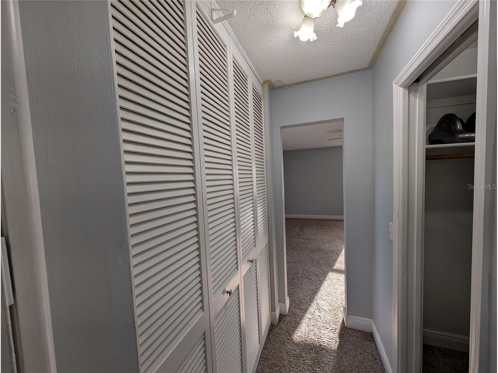 4107 Hudson Way Tampa FL 33618 TB8518369 image48