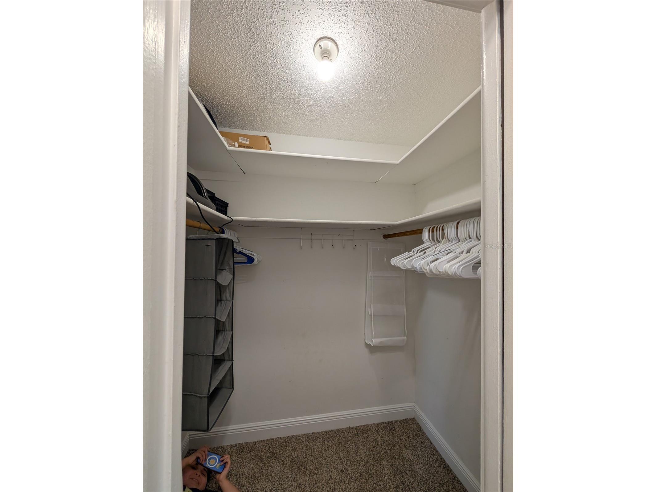 4107 Hudson Way Tampa FL 33618 TB8518369 image49