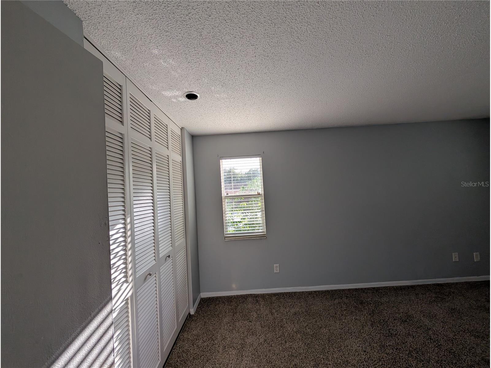 4107 Hudson Way Tampa FL 33618 TB8518369 image61
