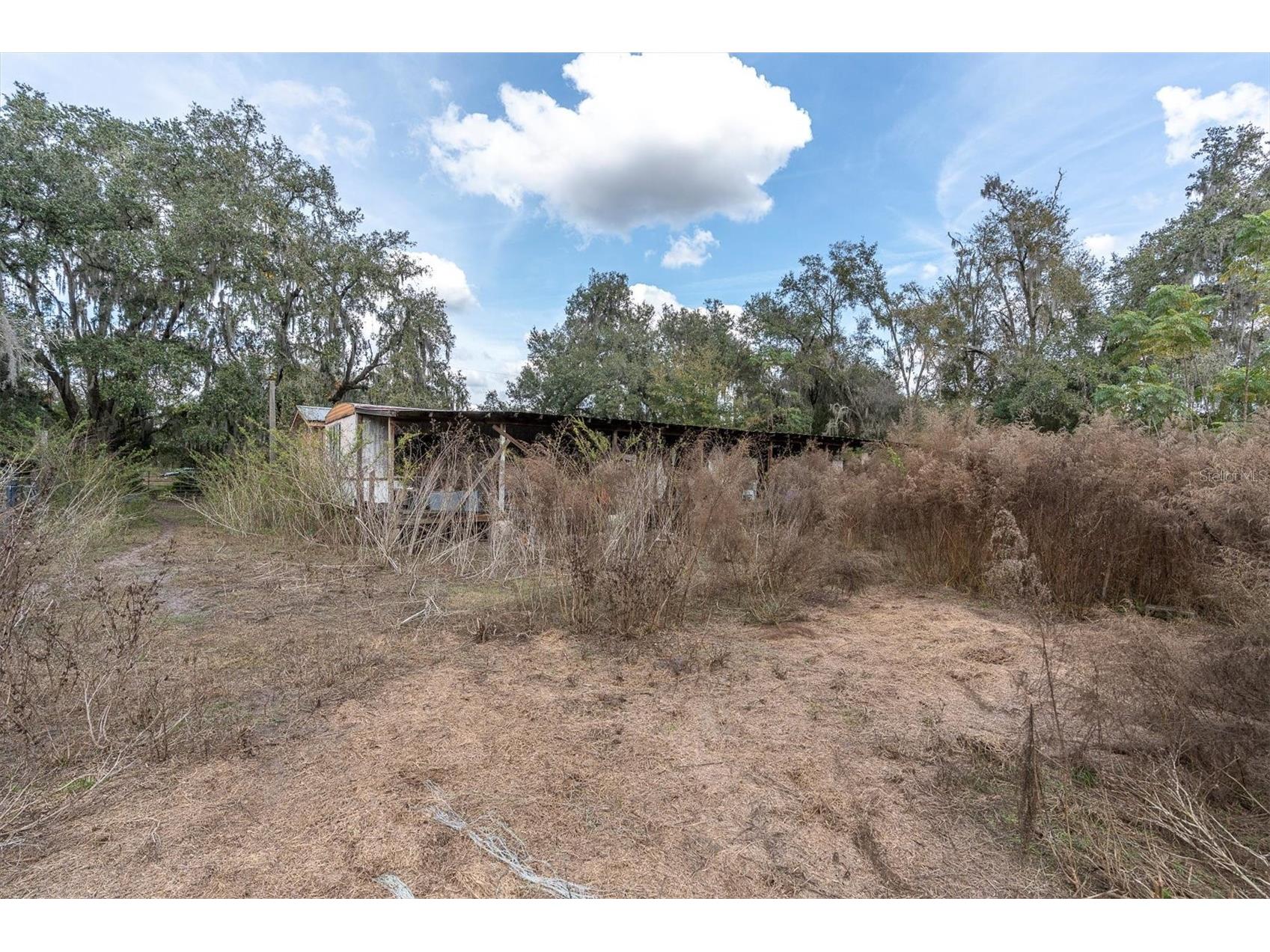 4107 Stanley Road Plant City FL 33565 TB8460792 image8