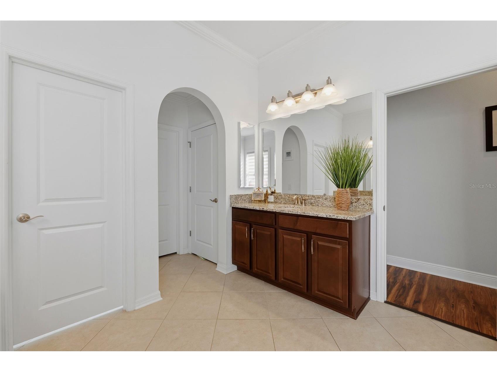 4107 Windcrest Drive Wesley Chapel FL 33544 TB8512748 image25