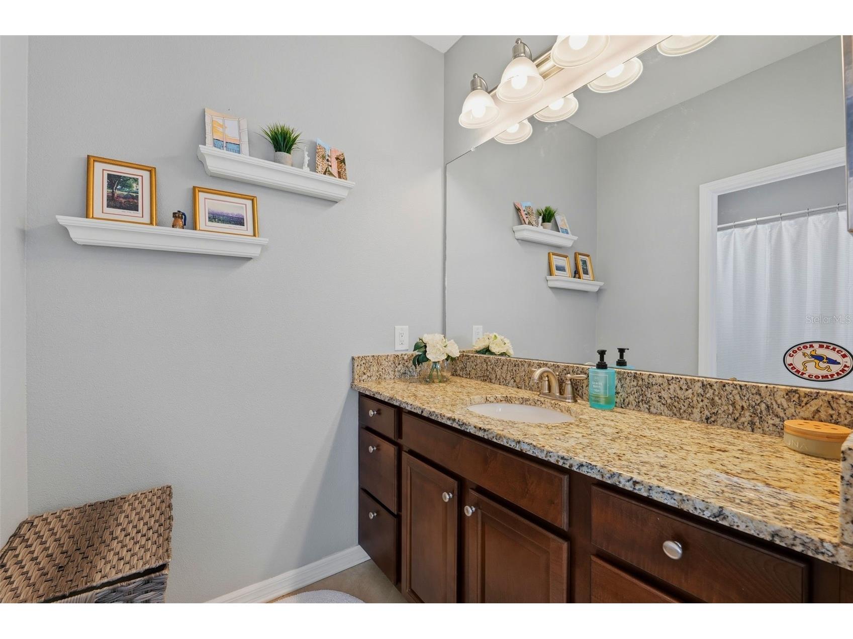 4107 Windcrest Drive Wesley Chapel FL 33544 TB8512748 image28