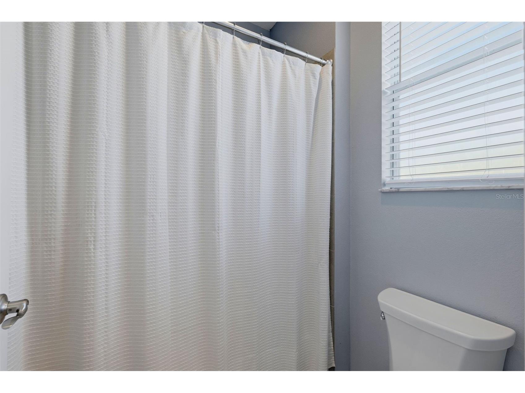 4107 Windcrest Drive Wesley Chapel FL 33544 TB8512748 image29