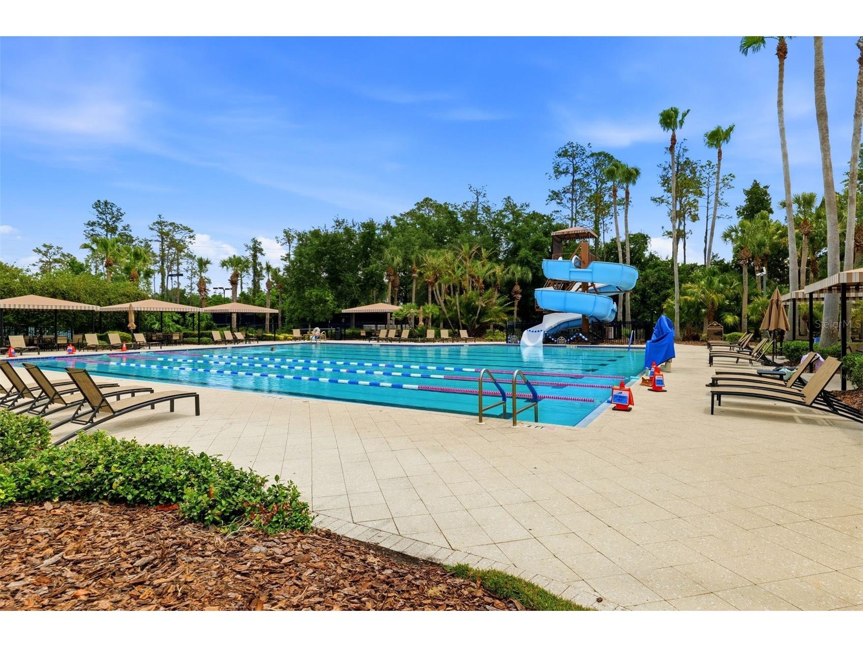 4107 Windcrest Drive Wesley Chapel FL 33544 TB8512748 image53