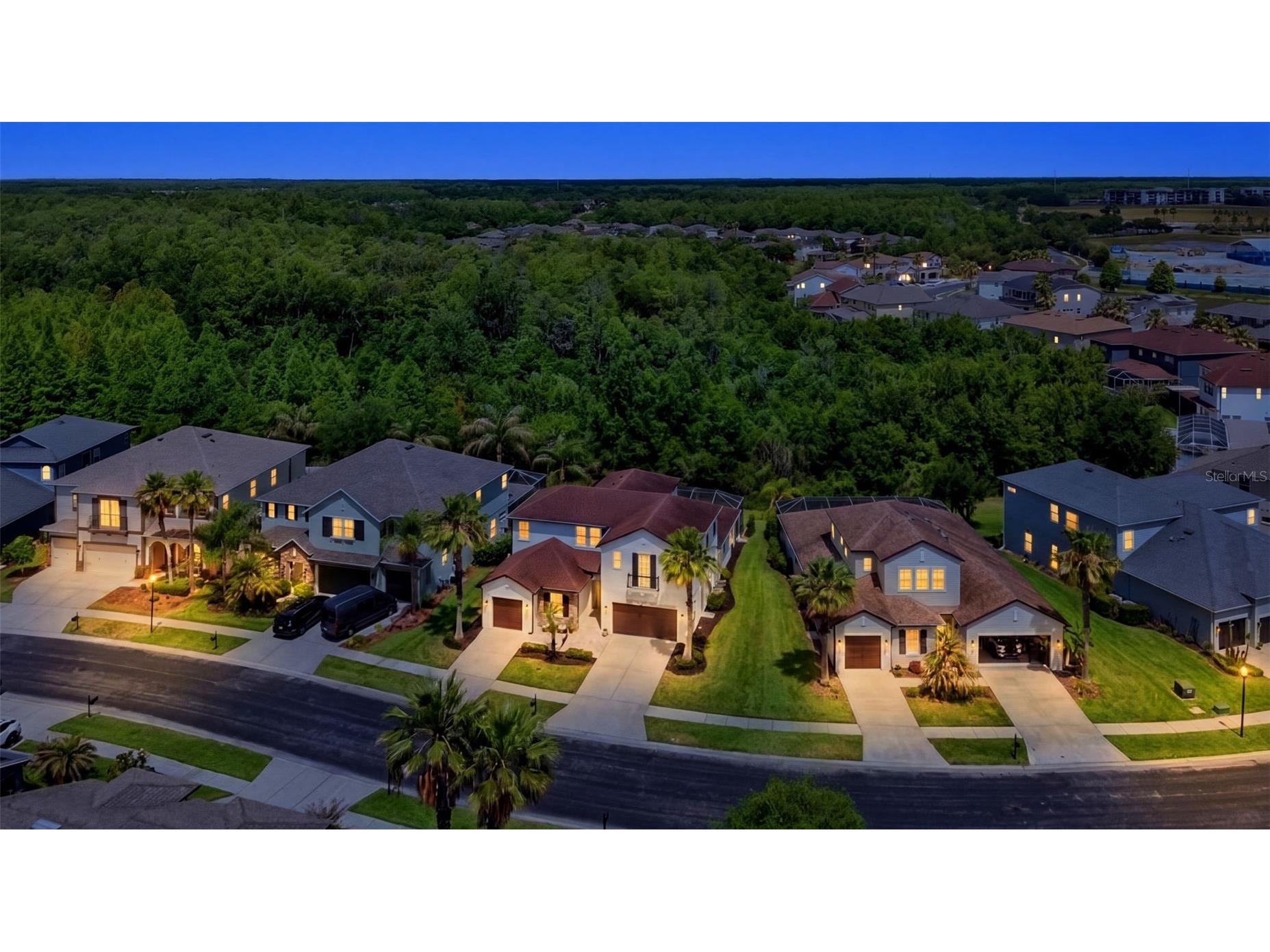 4107 Windcrest Drive Wesley Chapel FL 33544 TB8512748 image65