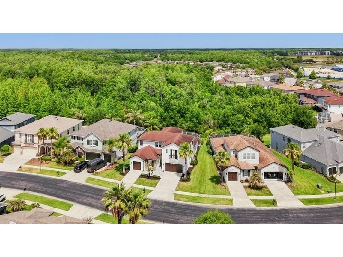 4107 Windcrest Drive Wesley Chapel FL 33544 TB8512748 image66