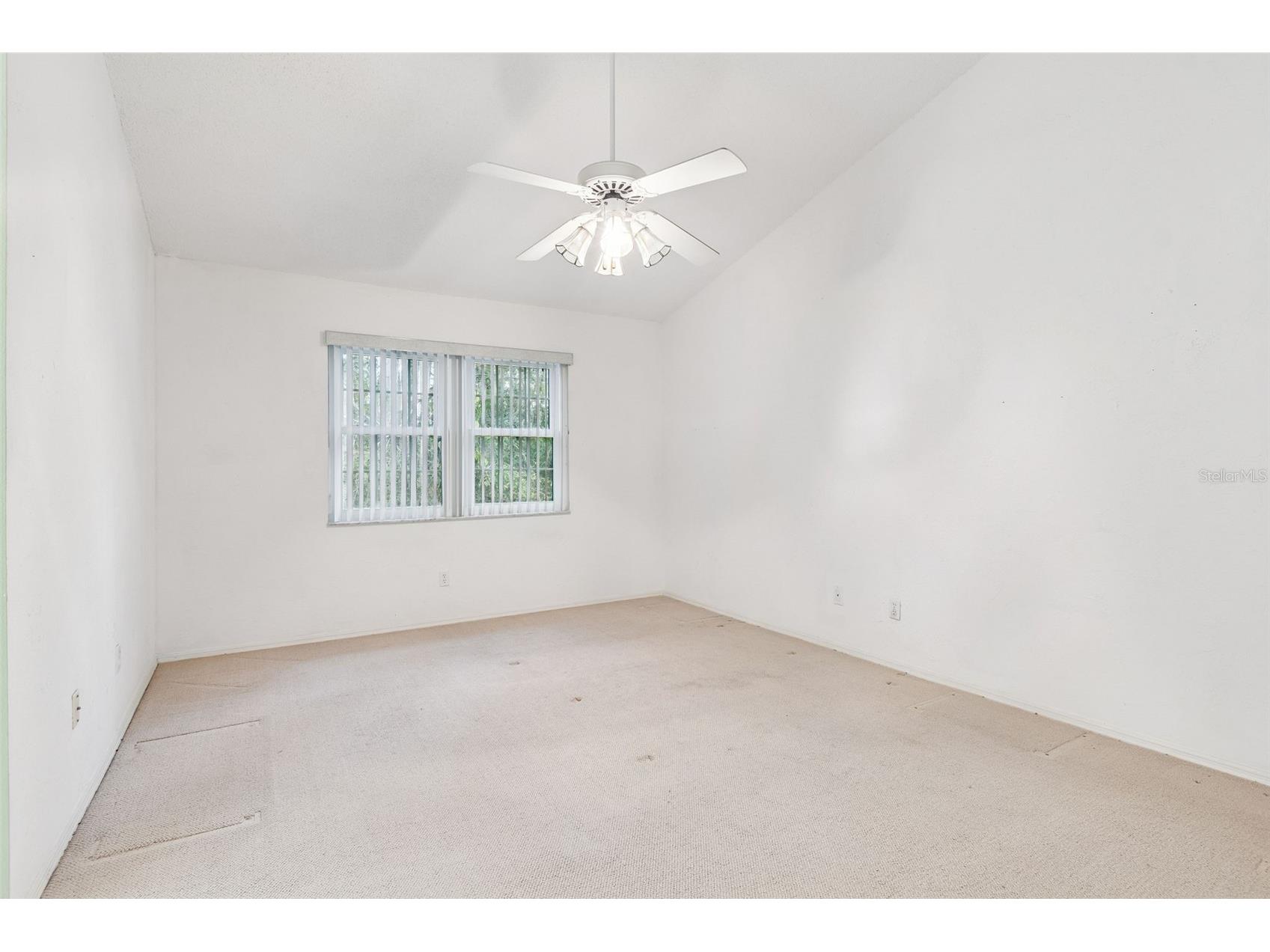 4108 Brentwood Park Circle Tampa FL 33624 TB8474206 image20