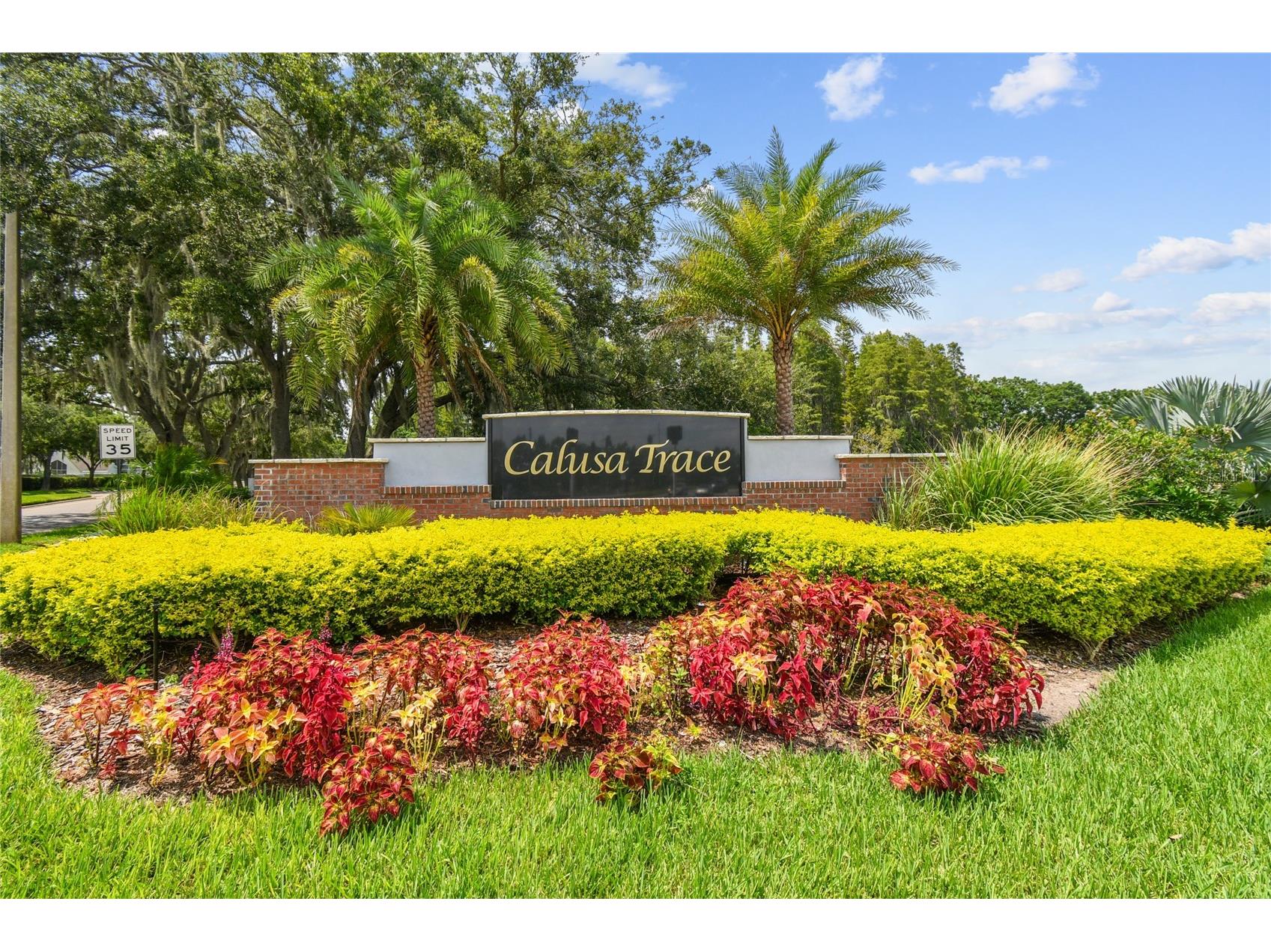 4108 Sparrow Court Lutz FL 33558 TB8508000 image2