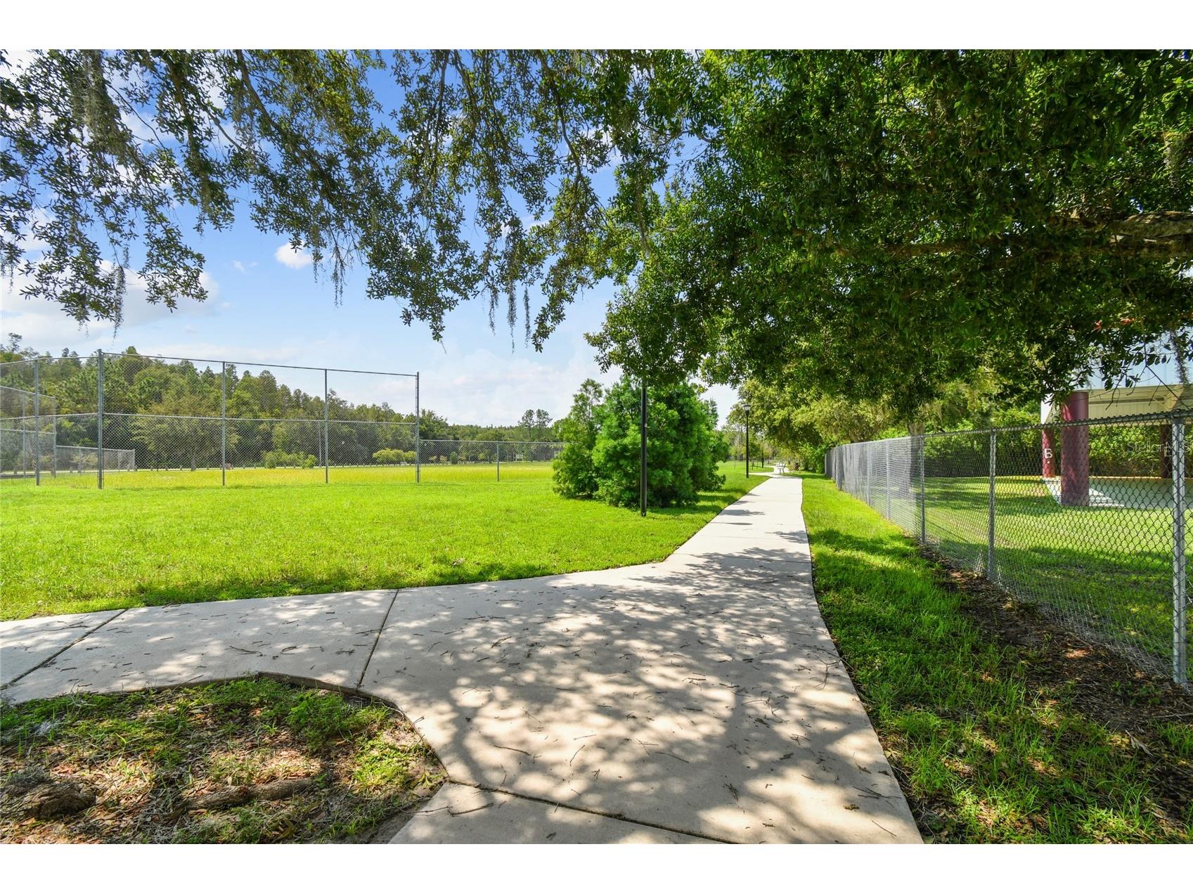 4108 Sparrow Court Lutz FL 33558 TB8508000 image57