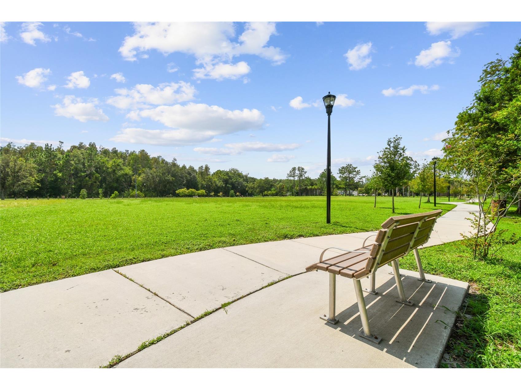 4108 Sparrow Court Lutz FL 33558 TB8508000 image65