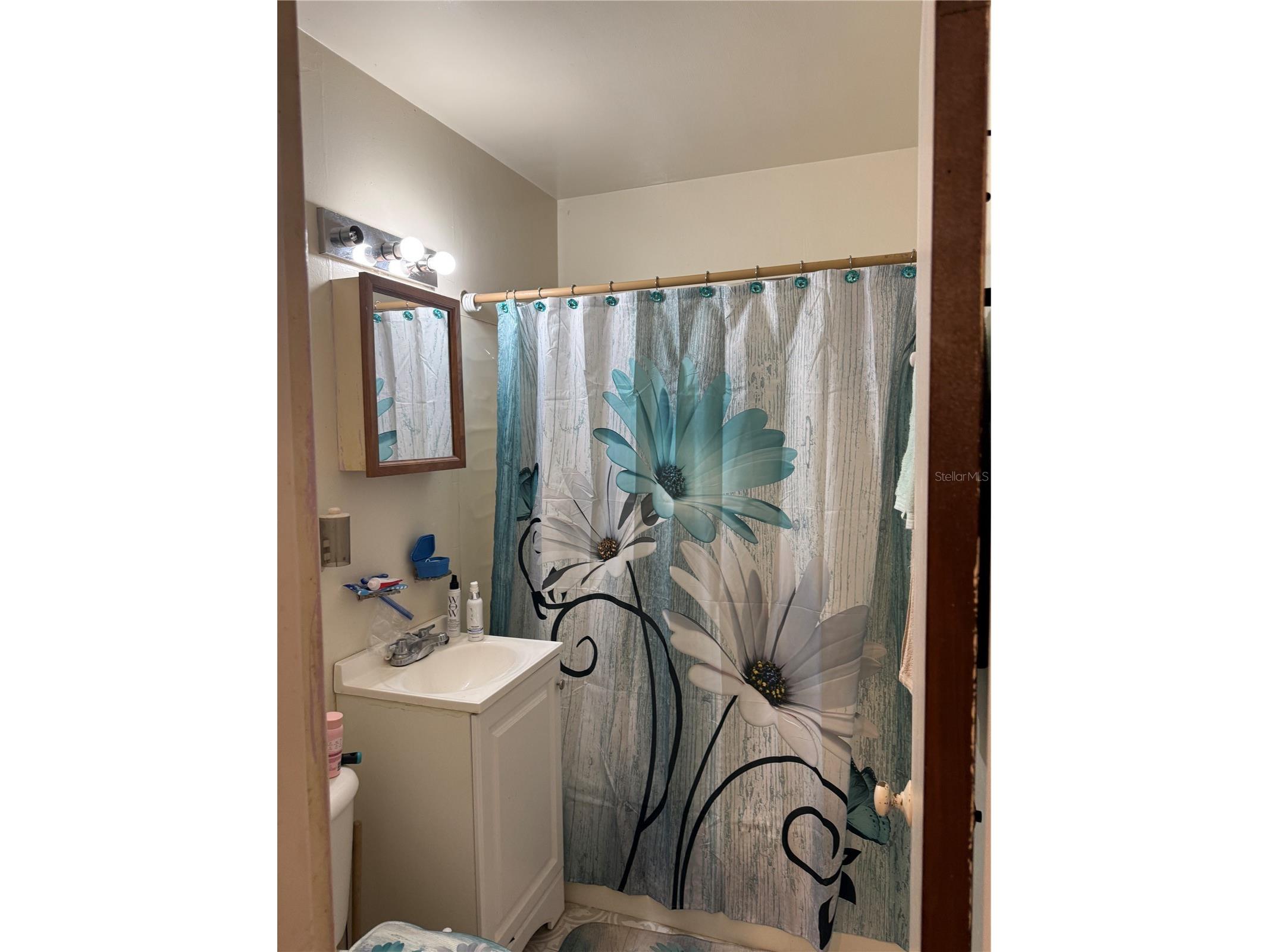 4108 W Leila Avenue Tampa FL 33616 TB8496489 image15