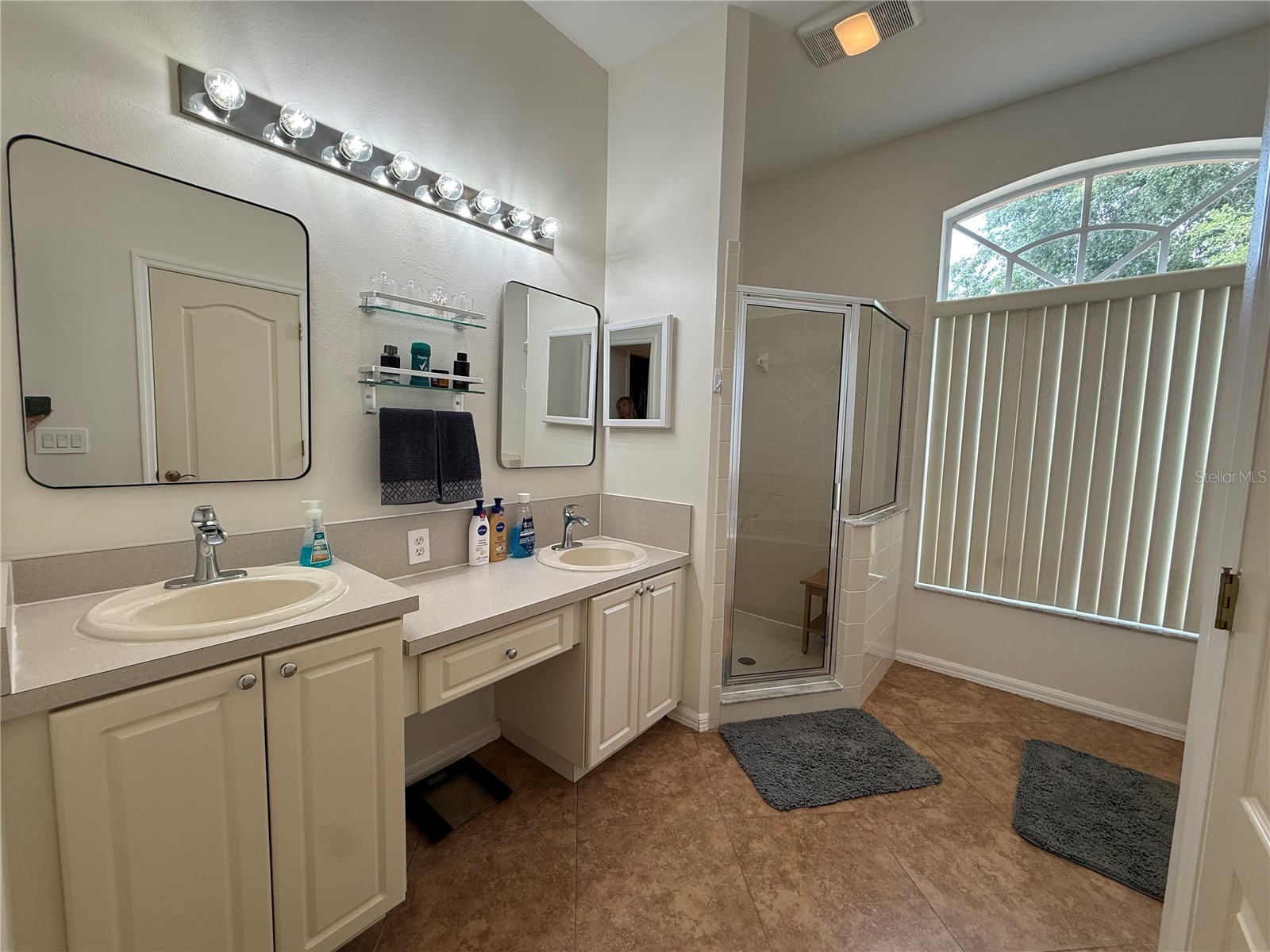 4109 Amber Ridge Lane Valrico FL 33594 TB8514543 image14