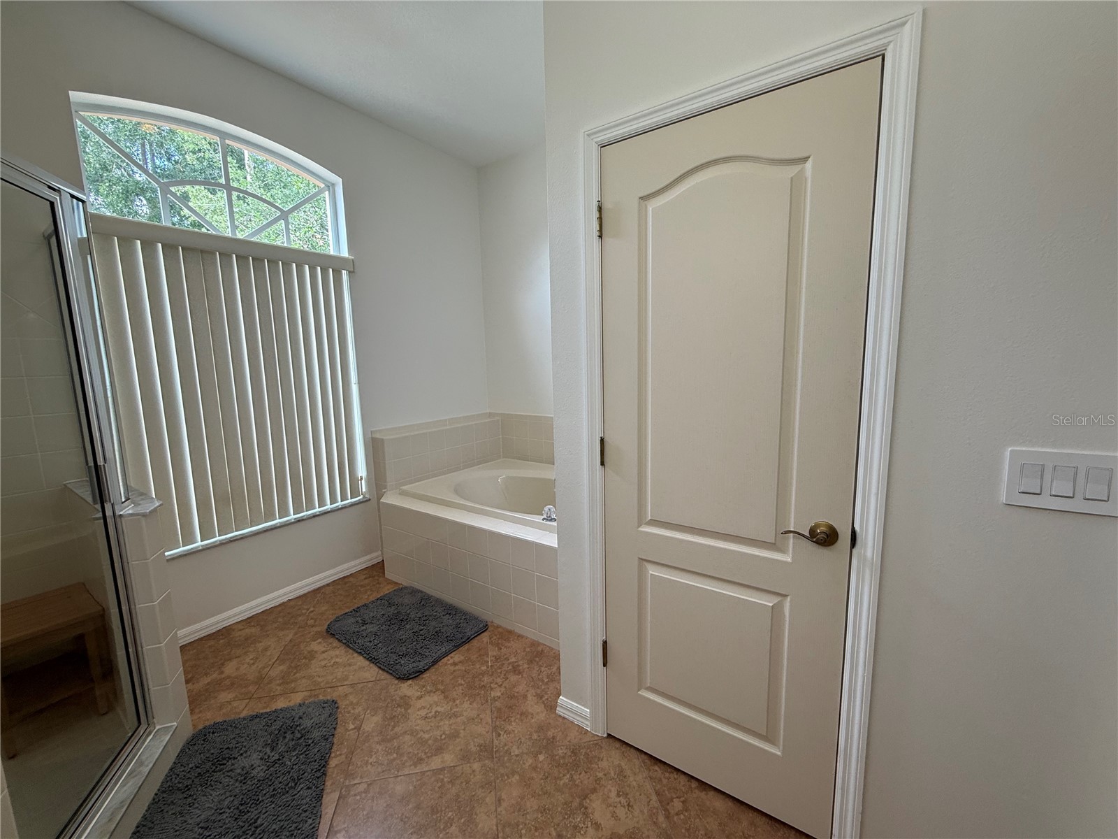 4109 Amber Ridge Lane Valrico FL 33594 TB8514543 image15