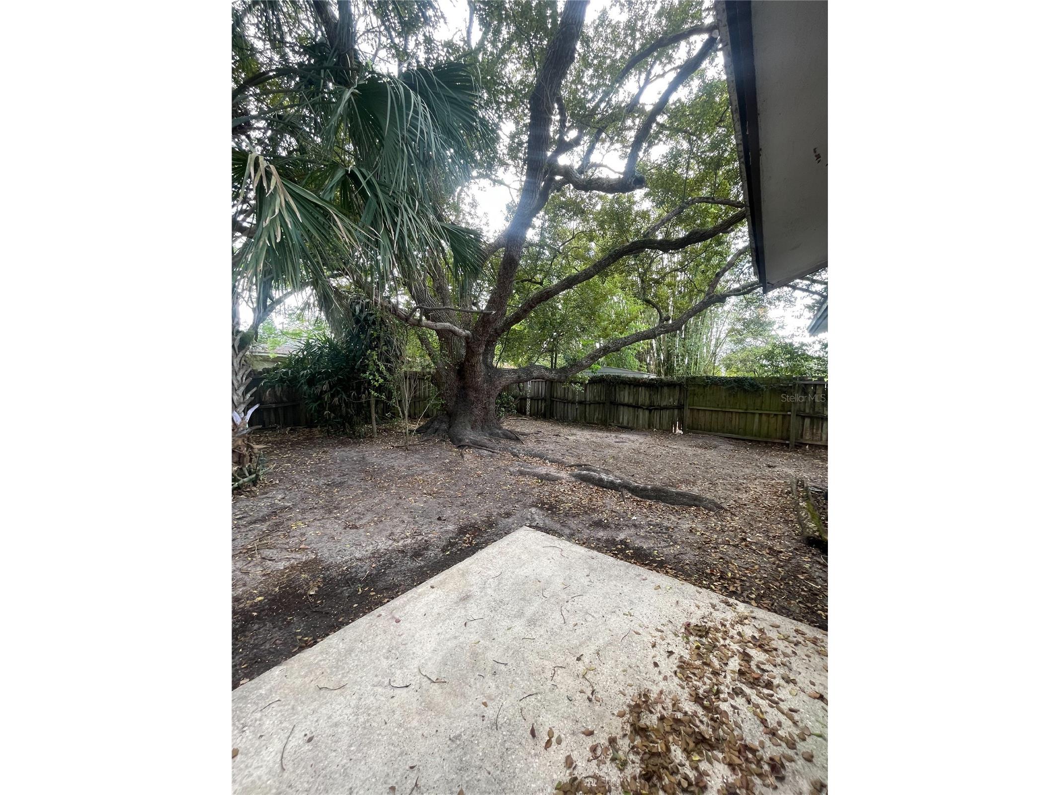 4109 E 99th Avenue Tampa FL 33617 TB8506136 image23