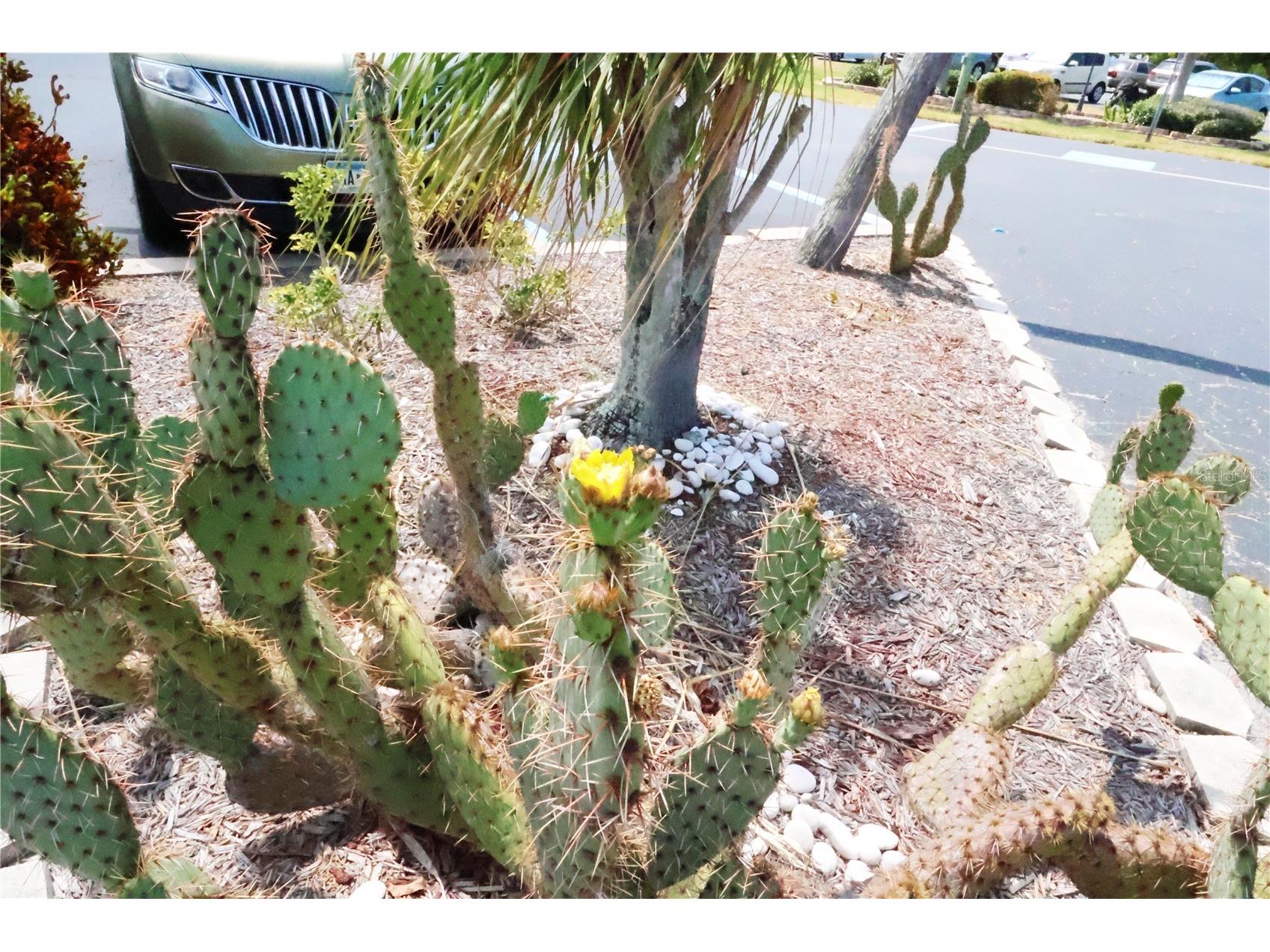 4109 Lake Bayshore Drive #407 Bradenton FL 34205 A4656331 image11