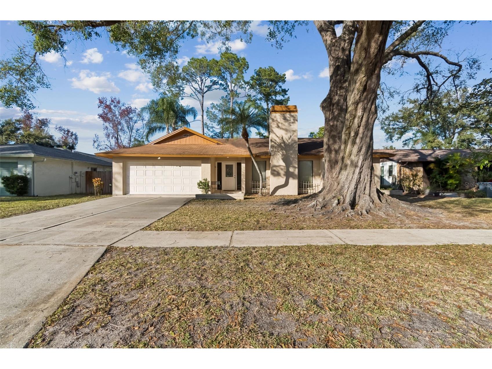 4109 Summerdale Drive Tampa FL 33624 TB8466132 image1