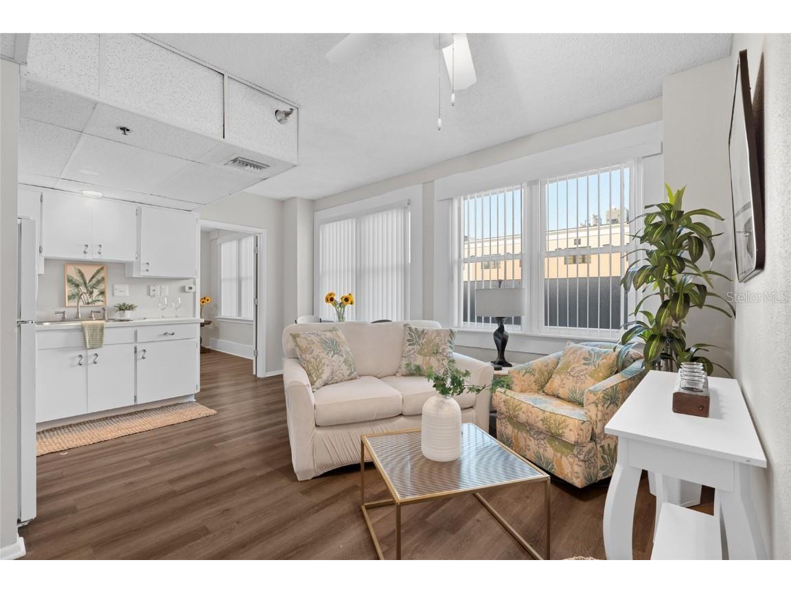 411 1st Avenue N #307 Saint Petersburg FL 33701 TB8445673 image4