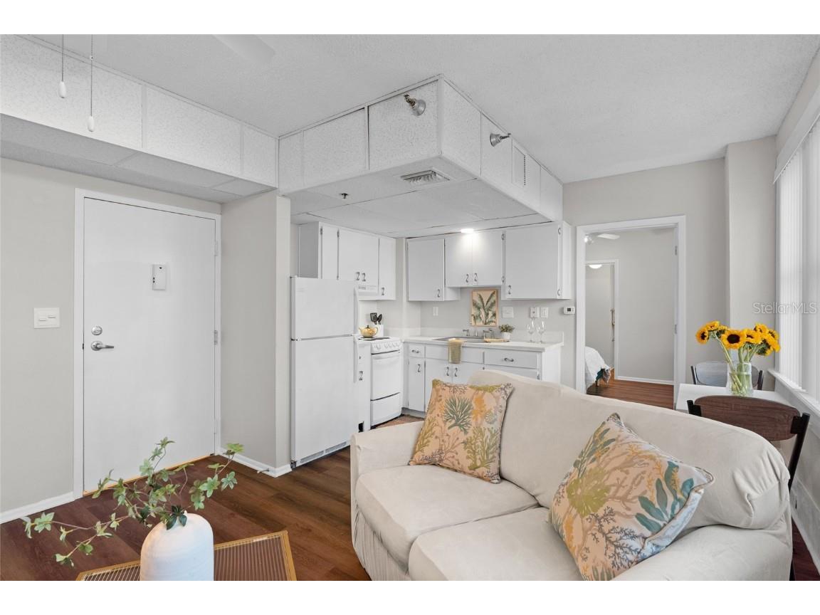 411 1st Avenue N #307 Saint Petersburg FL 33701 TB8445673 image5