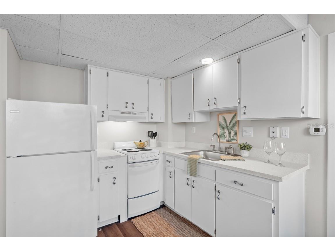 411 1st Avenue N #307 Saint Petersburg FL 33701 TB8445673 image6