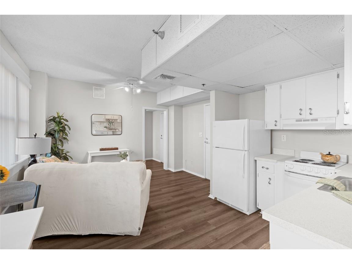 411 1st Avenue N #307 Saint Petersburg FL 33701 TB8445673 image7