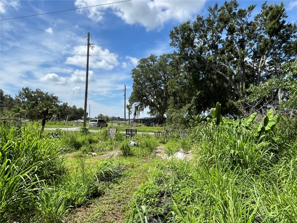 411 Alibrandi Road Leesburg FL 34748 G5098737 image10