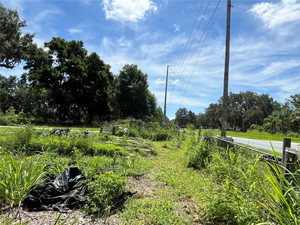 411 Alibrandi Road Leesburg FL 34748 G5098737 image11