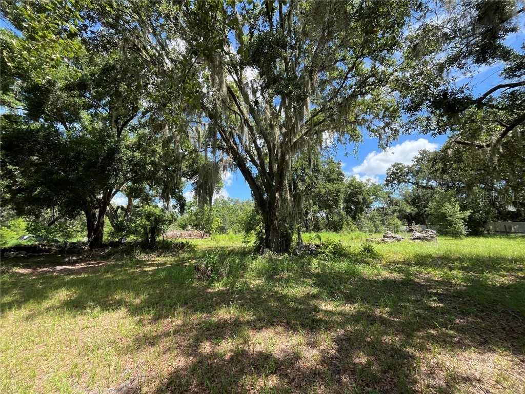 411 Alibrandi Road Leesburg FL 34748 G5098737 image16