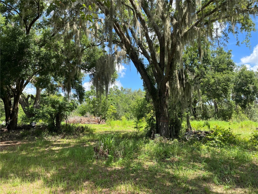 411 Alibrandi Road Leesburg FL 34748 G5098737 image17