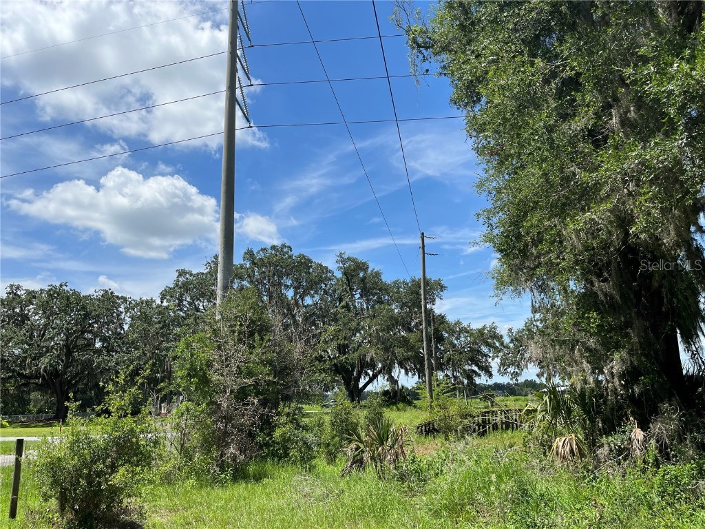 411 Alibrandi Road Leesburg FL 34748 G5098737 image18