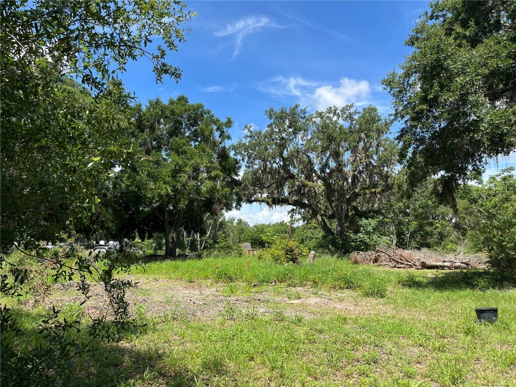 411 Alibrandi Road Leesburg FL 34748 G5098737 image20