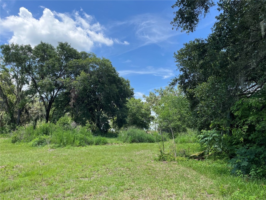 411 Alibrandi Road Leesburg FL 34748 G5098737 image23