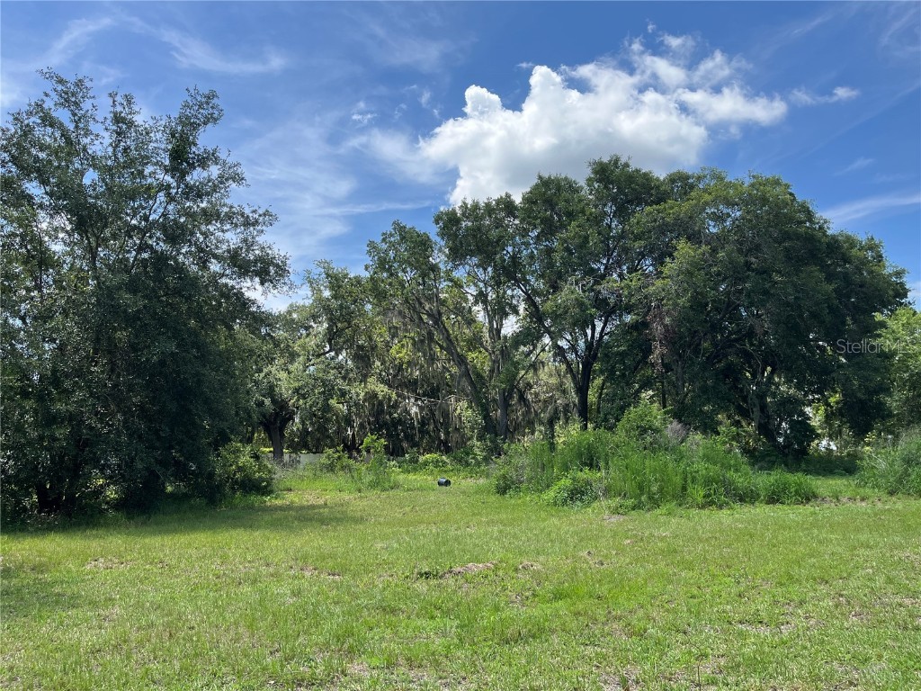 411 Alibrandi Road Leesburg FL 34748 G5098737 image24