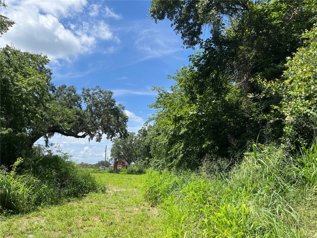 411 Alibrandi Road Leesburg FL 34748 G5098737 image26