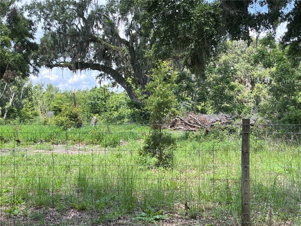 411 Alibrandi Road Leesburg FL 34748 G5098737 image32