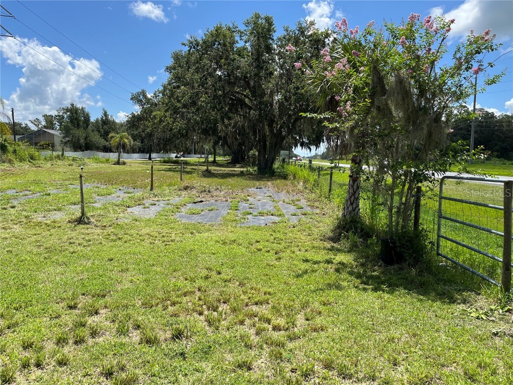 411 Alibrandi Road Leesburg FL 34748 G5098737 image34