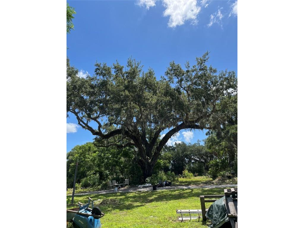 411 Alibrandi Road Leesburg FL 34748 G5098737 image39