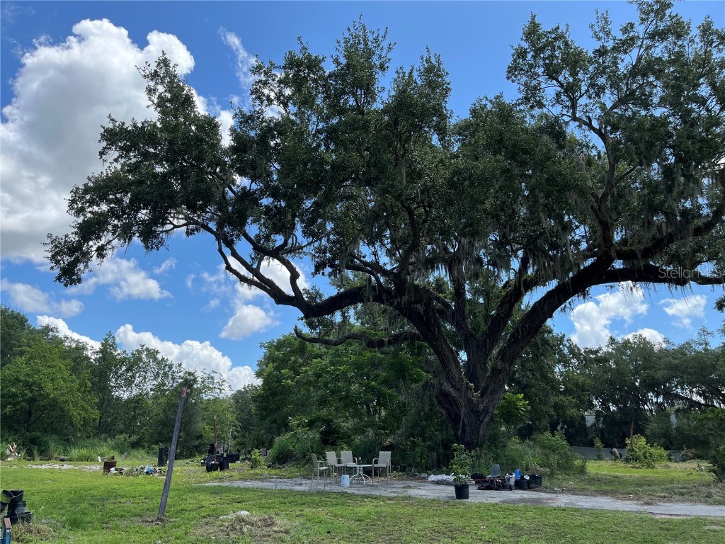 411 Alibrandi Road Leesburg FL 34748 G5098737 image40