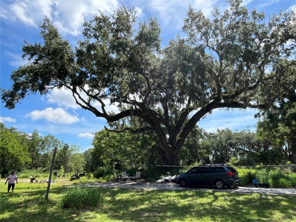 411 Alibrandi Road Leesburg FL 34748 G5098737 image5