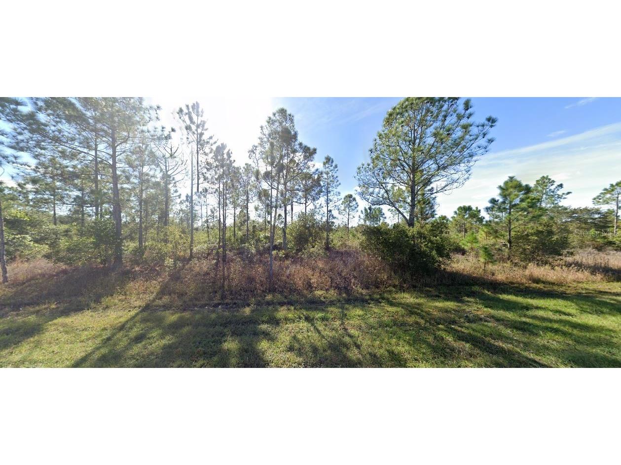 411 Allamanda Drive Indian Lake Estates FL 33855 O6272881 image2