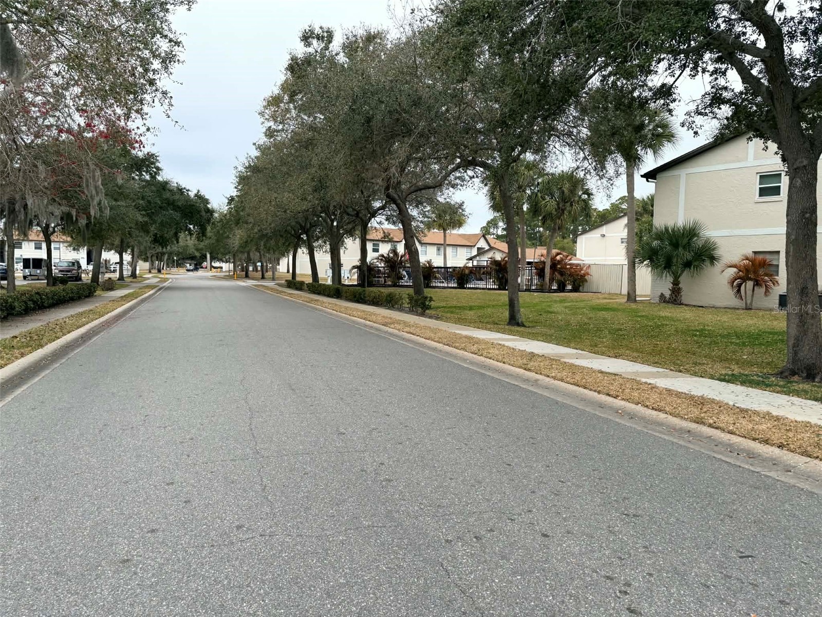 411 Banana Cay Drive #C South Daytona FL 32119 V4947348 image25